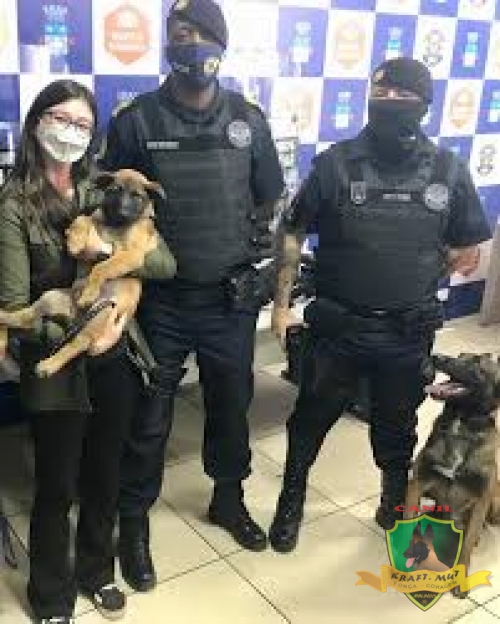 Entrega para a Guarda Municipal de Cajamar
