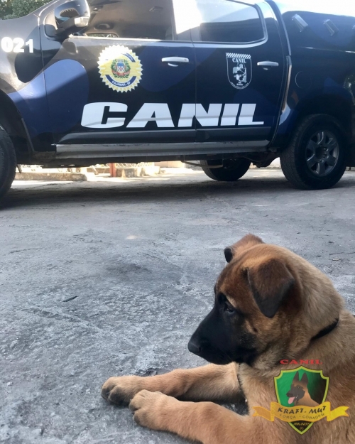 Entrega para a Guarda Municipal de Cajamar